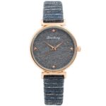 Montre Femme Bleu Strass CHTIME