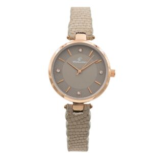 Magnifique Montre pour Femme Gris CHTIME