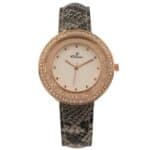 Montre pour Femme Strass Gris CHTIME